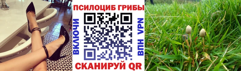 omg ONION  Ленинск  Галлюциногенные грибы GOLDEN TEACHER  дарнет шоп 